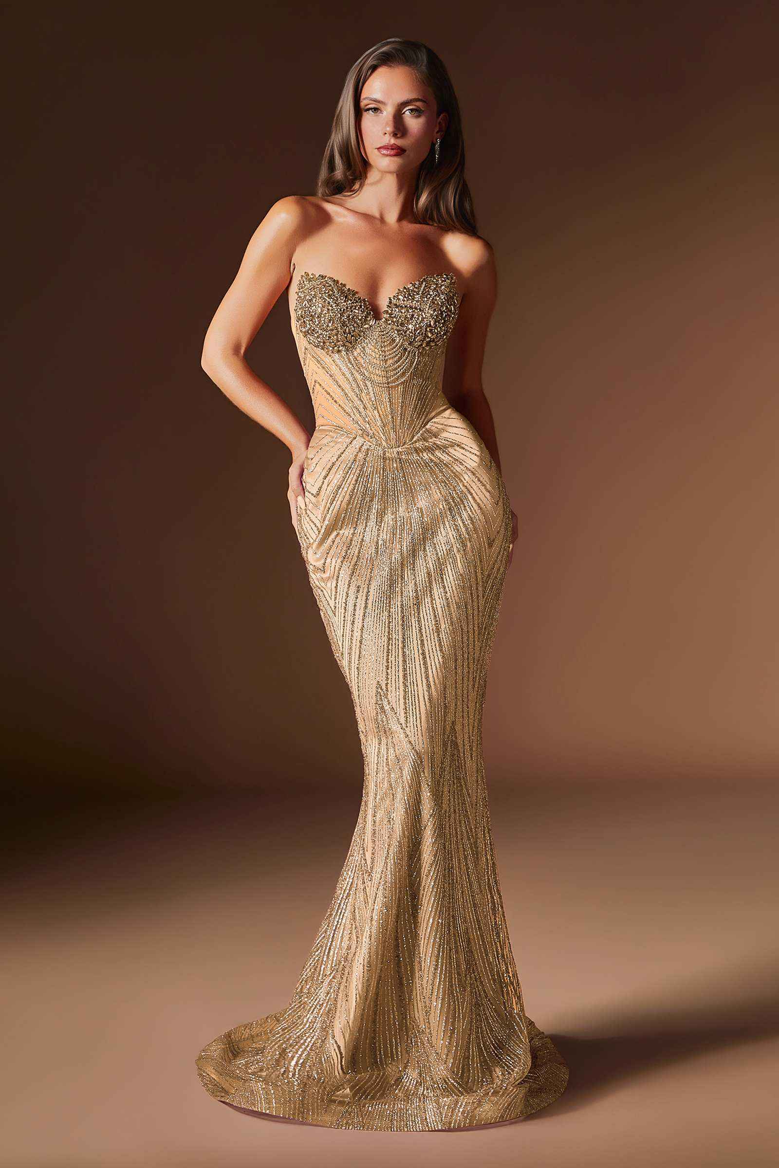 Ladivine J903 Lavish Crystal Encrusted Sheer Corset Bodice Fitted Gown